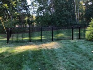 Black metal fence in a grassy yard.