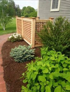 Garden with wooden fence and various plants.