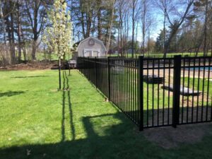 Backyard with black metal fence and shed.