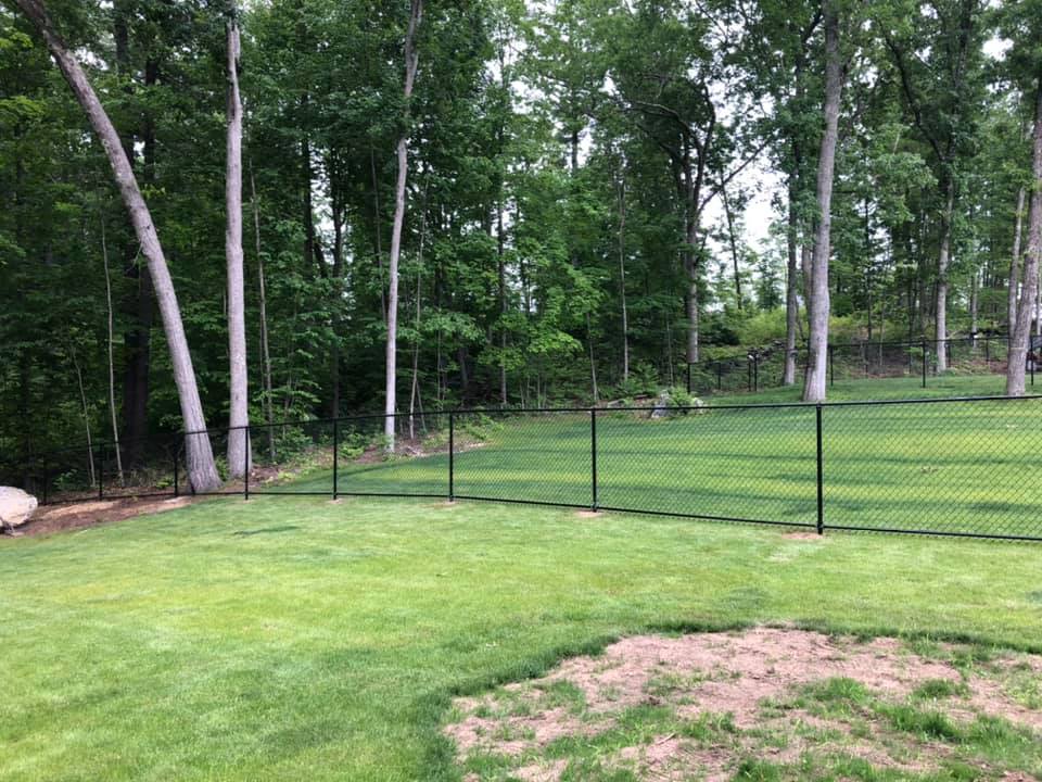 197166946_460484958457236_6774807980869295973_n Backyard with green grass and trees.