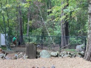 Man sitting by a fence in forest.